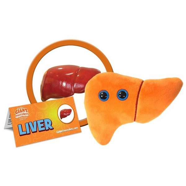 liver plush pillow